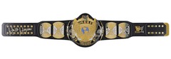 Hulk Hogan WWE Authentic Winged Eagle Replica Title Belt - Autographed